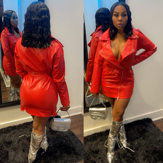 Paige Leather Dress